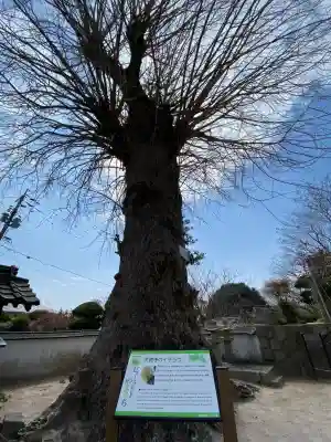 天徳寺の{uncategorized: "未分類", other: "その他", undefined: "問題あり", building: "その他建物", grave: "お墓", sacred_gate: "鳥居", guardian: "狛犬", statue: "像", buddha: "仏像", history: "歴史", nature: "自然", garden: "庭園", animal: "動物", pagoda: "塔", temizu: "手水舎", mountain_gate: "山門・神門", sanctuary: "本殿・本堂", subordinate: "末社・摂社", art: "芸術", scenery: "景色", jizo: "地蔵", ema: "絵馬", goshuin: "御朱印", omikuji: "おみくじ", items: "授与品その他", amulet: "お守り", goshuincho: "御朱印帳", eats: "食事", festival: "お祭り", votive_dance: "神楽", shichigosan: "七五三参", wedding: "結婚式", experience: "体験その他", initially: "初詣", around: "周辺", anti_infection: "感染症対策"}