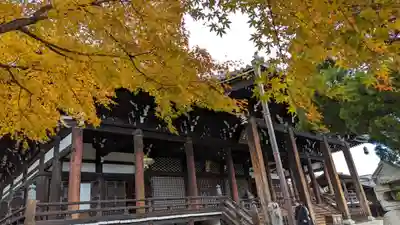 妙顯寺（妙顕寺）(京都府)