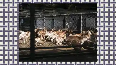 鹿島神宮(茨城県)