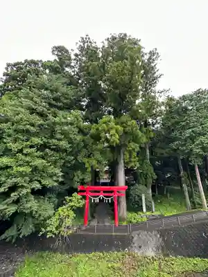 須山浅間神社(静岡県)