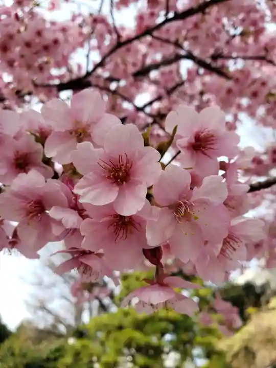 鳩森八幡神社(東京都)