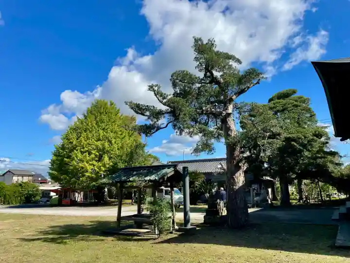館山神社(千葉県)