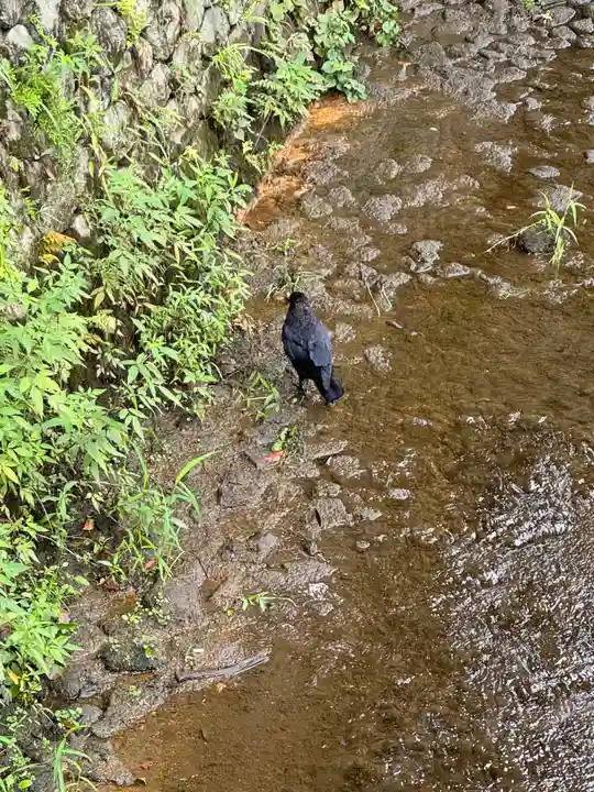 大垣八幡神社(岐阜県)