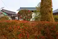 大鏑神社の庭園