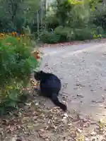 岡部春日神社~👹鬼門よけの🌺花咲く🌺やしろ~(福島県)