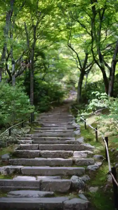 常寂光寺(京都府)