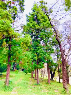 金嶽神社の自然