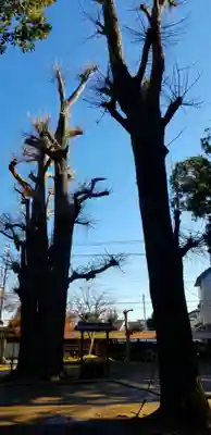 風早神社の自然