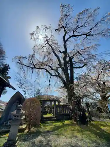 妙徳寺(福島県)
