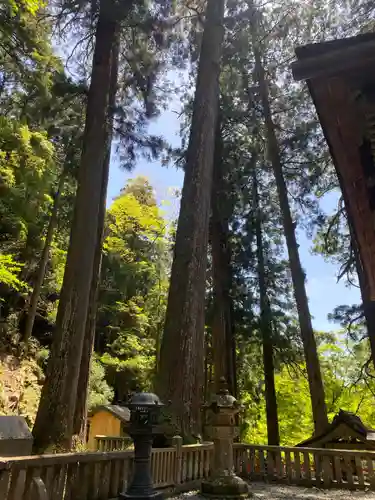 鳳来山東照宮(愛知県)