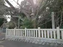 御祖神社の建物その他