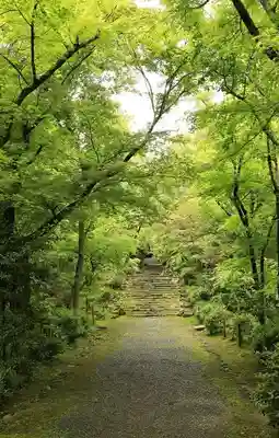 浄住寺(京都府)