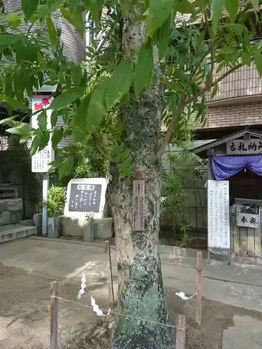 菅生神社の庭園