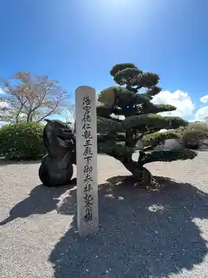 浄土寺のその他建物