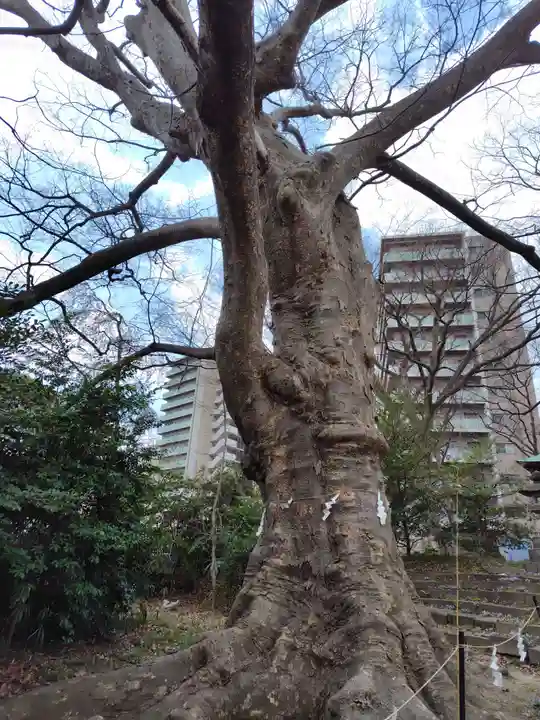 愛宕神社(福島県)