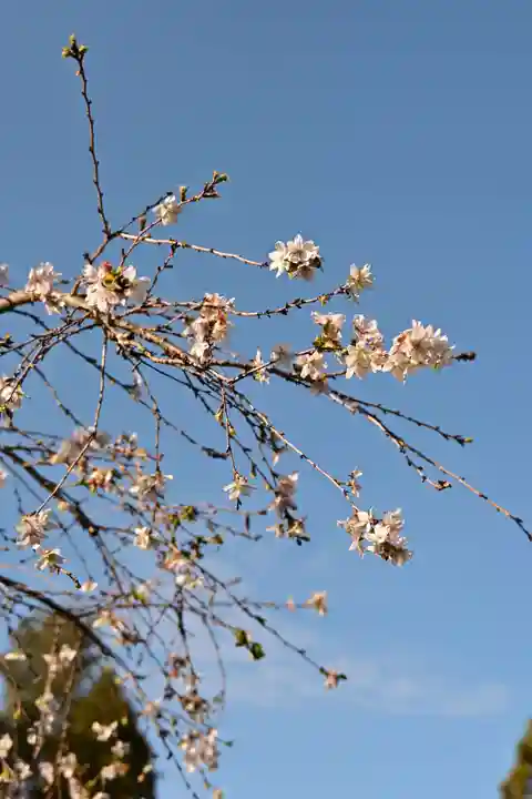 西明寺(滋賀県)