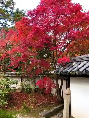 天授庵(京都府)