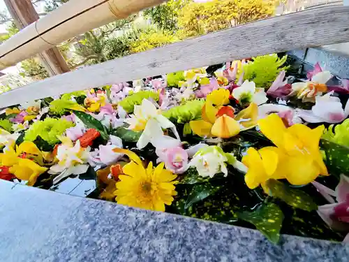 豊景神社の手水