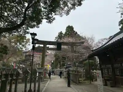 朝護孫子寺の{uncategorized: "未分類", other: "その他", undefined: "問題あり", building: "その他建物", grave: "お墓", sacred_gate: "鳥居", guardian: "狛犬", statue: "像", buddha: "仏像", history: "歴史", nature: "自然", garden: "庭園", animal: "動物", pagoda: "塔", temizu: "手水舎", mountain_gate: "山門・神門", sanctuary: "本殿・本堂", subordinate: "末社・摂社", art: "芸術", scenery: "景色", jizo: "地蔵", ema: "絵馬", goshuin: "御朱印", omikuji: "おみくじ", items: "授与品その他", amulet: "お守り", goshuincho: "御朱印帳", eats: "食事", festival: "お祭り", votive_dance: "神楽", shichigosan: "七五三参", wedding: "結婚式", experience: "体験その他", initially: "初詣", around: "周辺", anti_infection: "感染症対策"}