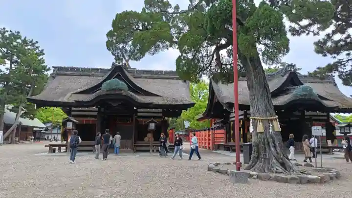 住吉大社(大阪府)