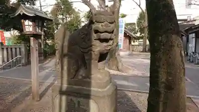 富岡八幡宮の狛犬
