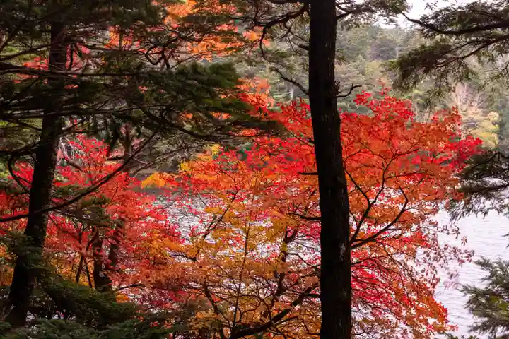 大瀧神社(長野県)