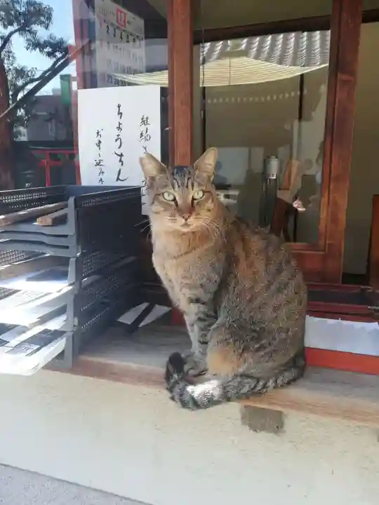 法案寺南坊の動物