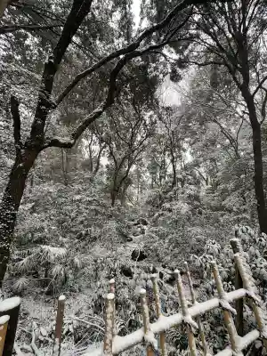 明治神宮の{uncategorized: "未分類", other: "その他", undefined: "問題あり", building: "その他建物", grave: "お墓", sacred_gate: "鳥居", guardian: "狛犬", statue: "像", buddha: "仏像", history: "歴史", nature: "自然", garden: "庭園", animal: "動物", pagoda: "塔", temizu: "手水舎", mountain_gate: "山門・神門", sanctuary: "本殿・本堂", subordinate: "末社・摂社", art: "芸術", scenery: "景色", jizo: "地蔵", ema: "絵馬", goshuin: "御朱印", omikuji: "おみくじ", items: "授与品その他", amulet: "お守り", goshuincho: "御朱印帳", eats: "食事", festival: "お祭り", votive_dance: "神楽", shichigosan: "七五三参", wedding: "結婚式", experience: "体験その他", initially: "初詣", around: "周辺", anti_infection: "感染症対策"}