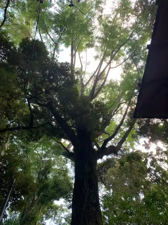日吉神社(千葉県)