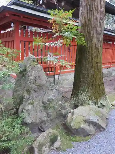 赤山禅院の自然