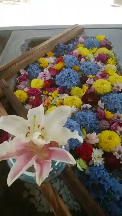 網走神社の手水舎
