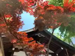 恵比寿神社の自然