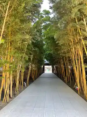 梅窓院(東京都)