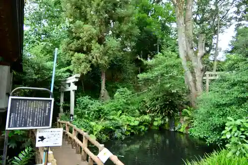 杵築大社の庭園