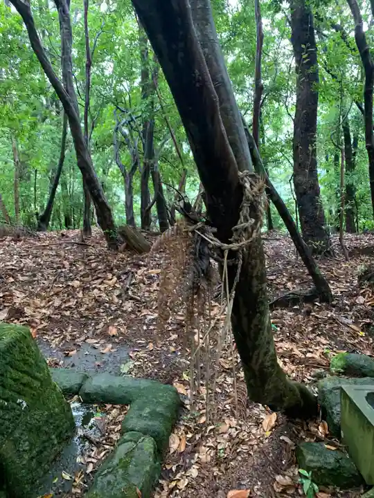 御嶽神社の自然