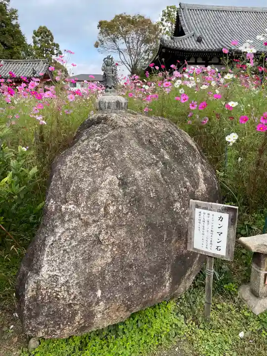 般若寺 ❁コスモス寺❁(奈良県)