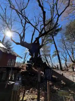 熊野皇大神社の{uncategorized: "未分類", other: "その他", undefined: "問題あり", building: "その他建物", grave: "お墓", sacred_gate: "鳥居", guardian: "狛犬", statue: "像", buddha: "仏像", history: "歴史", nature: "自然", garden: "庭園", animal: "動物", pagoda: "塔", temizu: "手水舎", mountain_gate: "山門・神門", sanctuary: "本殿・本堂", subordinate: "末社・摂社", art: "芸術", scenery: "景色", jizo: "地蔵", ema: "絵馬", goshuin: "御朱印", omikuji: "おみくじ", items: "授与品その他", amulet: "お守り", goshuincho: "御朱印帳", eats: "食事", festival: "お祭り", votive_dance: "神楽", shichigosan: "七五三参", wedding: "結婚式", experience: "体験その他", initially: "初詣", around: "周辺", anti_infection: "感染症対策"}