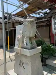 尾浜八幡神社の狛犬