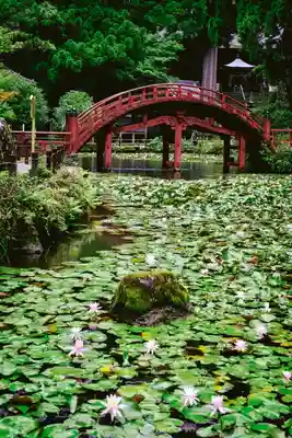 金剛證寺のその他建物