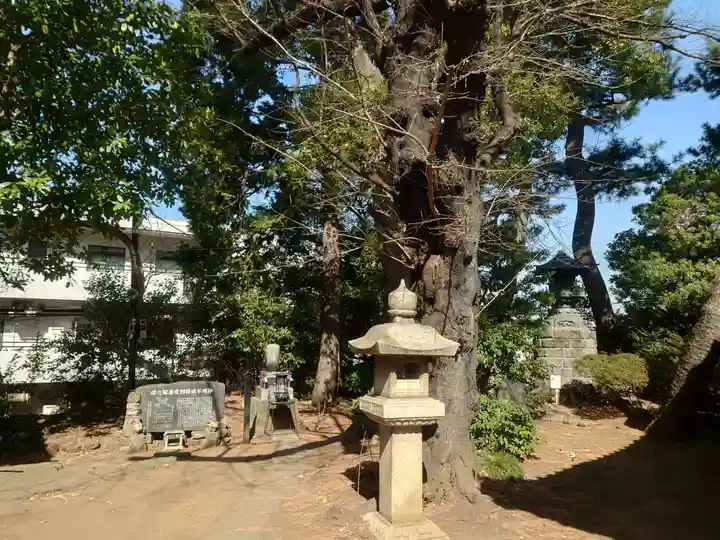 観音寺(世田谷山観音寺)(東京都)
