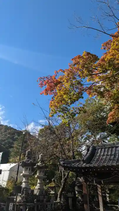 松尾大社(京都府)