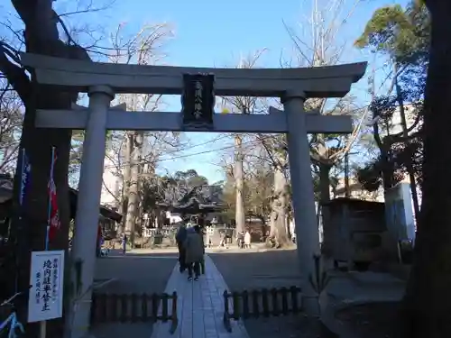 亀岡八幡宮（亀岡八幡神社）の鳥居