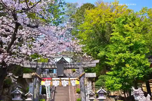 師岡熊野神社(神奈川県)