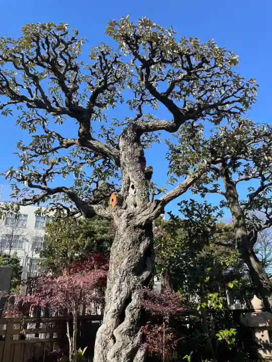 栄松院の{uncategorized: "未分類", other: "その他", undefined: "問題あり", building: "その他建物", grave: "お墓", sacred_gate: "鳥居", guardian: "狛犬", statue: "像", buddha: "仏像", history: "歴史", nature: "自然", garden: "庭園", animal: "動物", pagoda: "塔", temizu: "手水舎", mountain_gate: "山門・神門", sanctuary: "本殿・本堂", subordinate: "末社・摂社", art: "芸術", scenery: "景色", jizo: "地蔵", ema: "絵馬", goshuin: "御朱印", omikuji: "おみくじ", items: "授与品その他", amulet: "お守り", goshuincho: "御朱印帳", eats: "食事", festival: "お祭り", votive_dance: "神楽", shichigosan: "七五三参", wedding: "結婚式", experience: "体験その他", initially: "初詣", around: "周辺", anti_infection: "感染症対策"}