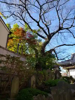 実相院(東京都)