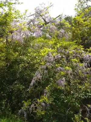 弁財天宮の自然