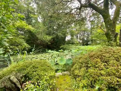 法界寺(日野薬師)の庭園