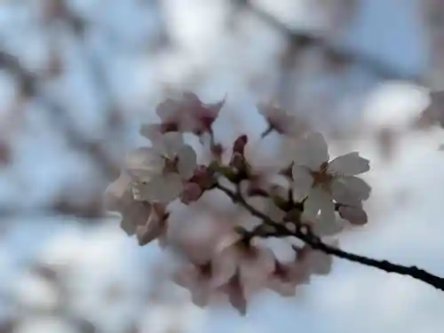西方山極楽寺(岐阜県)