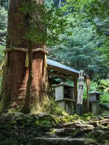 鞍馬寺(京都府)