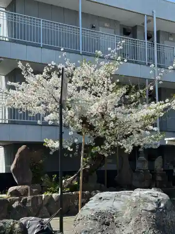 関貞寺(松林山)(愛知県)